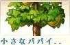 小さなパパイア.png
