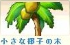 小さな椰子.png