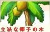 立派な椰子.png