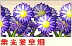 紫.png