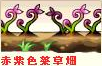 赤紫.png