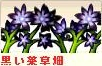 黒.png